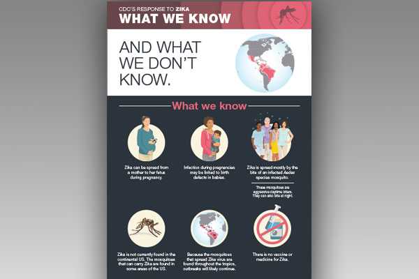 zika what we know infographic.pdf