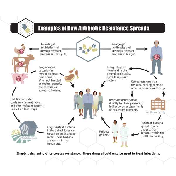 Examples of How Antibiotic Resistance Spreads.