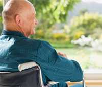 Elderly man in a wheel chair looking at a garden