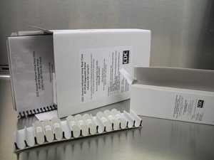 CDC′s new laboratory test kit for flu