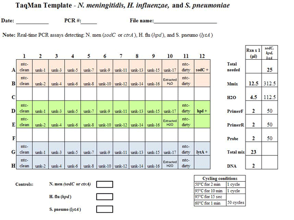 Example PCR template sheet for the N. meningitidis, H. influenzae, and S. pneumoniae species-specific real-time PCR assays. This example template should provide all the information needed for the laboratorian to set up the real-time PCR assay. The template should include: the assay(s) being run, date performed, PCR machine used, file name, cycle conditions, strain DNA to use as positive controls, and any notes to assist the laboratorian.