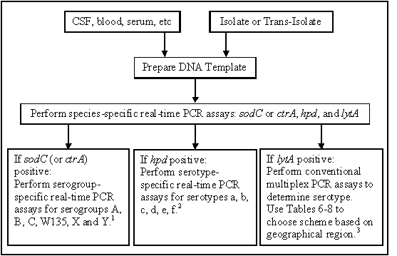 Figure 8 is a workflow for detection and characterization of bacterial meningitis pathogens by polymerase chain reaction (PCR). Once DNA template is prepared from either a clinical specimen, an isolate, or from sampling a bottle of inoculated Tran-Isolate medium, the species-specific real-time PCR assays should be run. Any reactions positive for N. meningitis, H. influenzae or S. pneumoniae should be further characterized using the appropriate serogrouping or serotyping PCR assay.