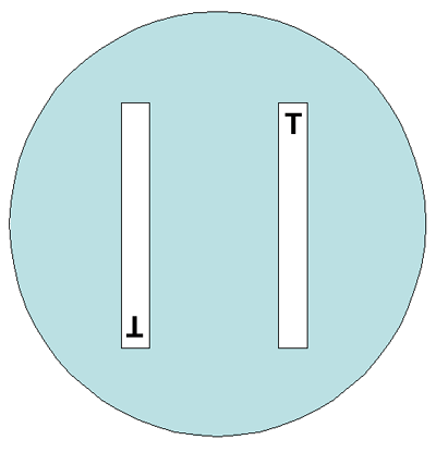 Figure 4 is an image showing the placement of gradient strips on a 100-mm agar plate. Gradient strips are placed in opposite orientation. “T” represents the top of the gradient strip.