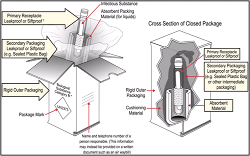 Figure 3 is an image showing proper packing and labeling of the secondary container for shipping of diagnostic/patient specimens.