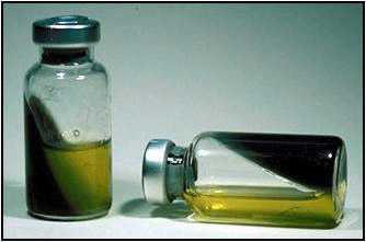 Figure 3 is a picture of a bottle of Trans-Isolate (T-I) medium.