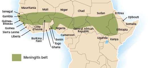 Figure 1 is a map of the African meningitis belt. These sub-Saharan countries are at high epidemic risk for meningococcal meningitis. These countries include: Senegal, Gambia, Guinea-Bisseau, Guinea, Mali, Burkina Faso, Niger, Chad, Central African Republic, Sudan, Ethiopia and the northern parts of Côte d’Ivoire, Ghana, Togo, Benin, Nigeria, and Cameroon.
