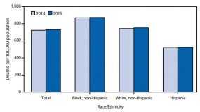 graph showing age adjusted death rates by race/ethnicity