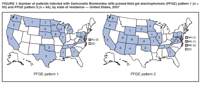 FIGURE 1. Number of patients infected with Salmonella Montevideo with pulsed-field gel electrophoresis (PFGE) pattern 1 (n = 65) and PFGE pattern 2 (n = 64), by state of residence — United States, 2007