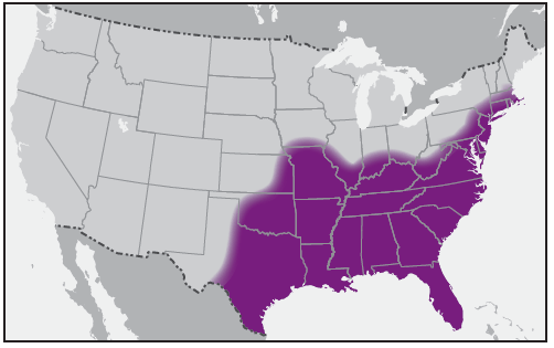 This figure is a map showing the approximate U.S. distribution of Amblyomma americanum (lone star tick).
