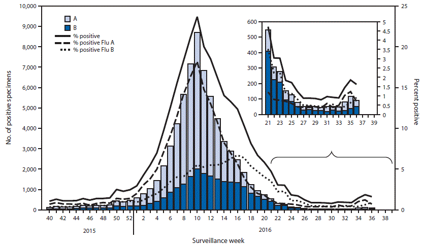 The figure above is a combination histogram and line graph showing the number and percentage of respiratory specimens testing positive for influenza reported by clinical laboratories, by type and week, in the United States during October 4, 2015âSeptember 10, 2016.