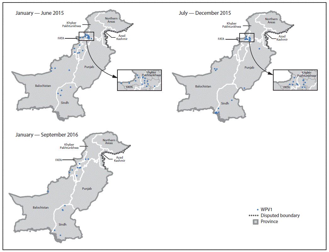 The figure above is a map showing the location of wild poliovirus type 1 cases in Pakistan during January 2015âOctober 2016.