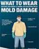 What to Wear before entering a Home or Building with Mold damage