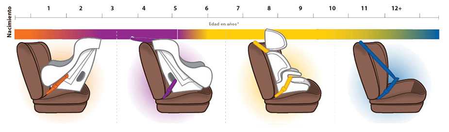 Stages of child passenger safety