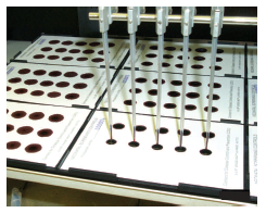 	Photo of blood being spotted by use of a robot onto filter paper that will be used in quality assurance and proficiency tests