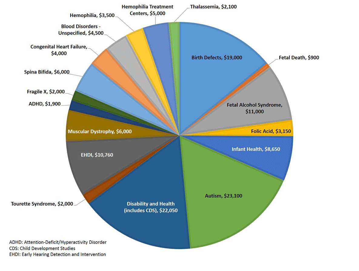Fiscal Year 2016 Budget Pie Chart