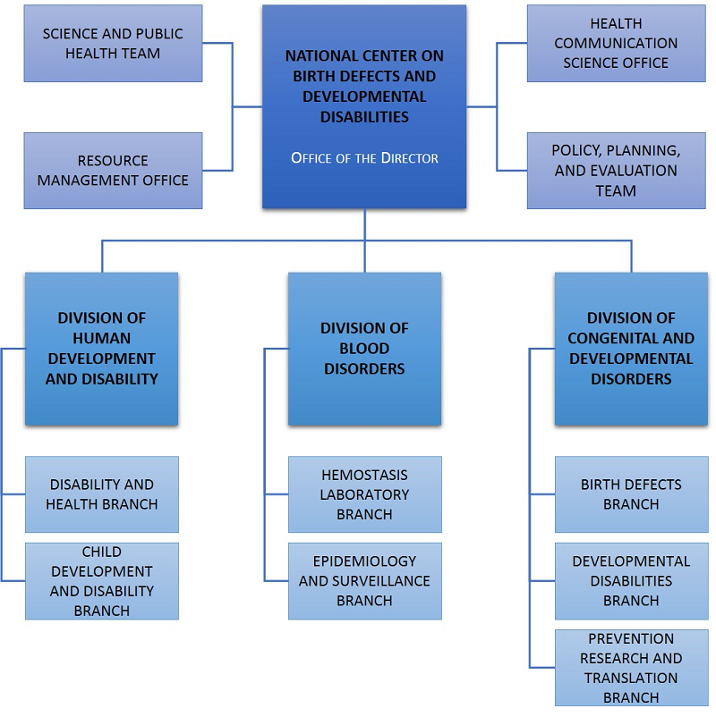 NCBDDD Organizational Chart