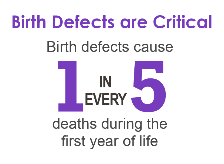 Birth Defects are Critical. Birth defects cause 1 in every 5 deaths during the first year of life. 