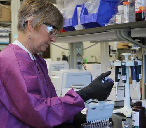 A woman working in the lab.