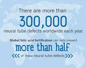 There are more than 300,000 neural tube defects worldwide each year. Global folic acid fortification can help prevent more than half of these neural tube defects.