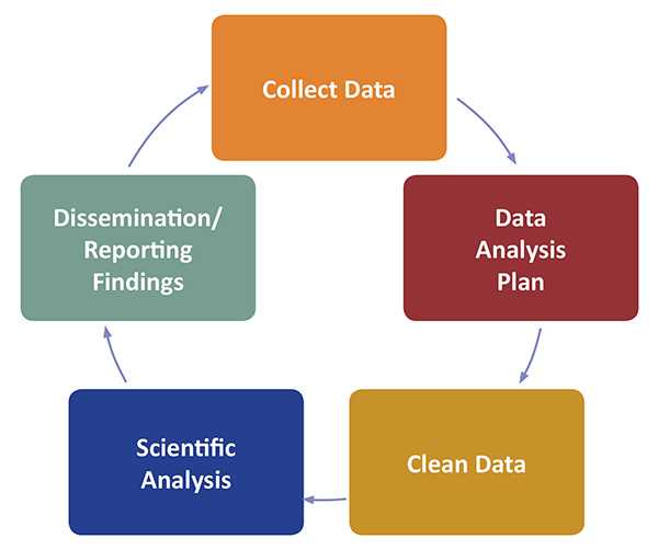 Flow chart: collect data, data analysis, clean data, scientific analysis, and dissemination and reporting findings
