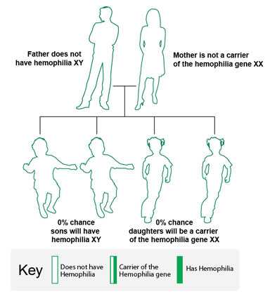 Image: In this example, the father does not have hemophilia, and the mother does not carry the hemophilia gene. None of the children (daughters or sons) will have hemophilia or carry the gene