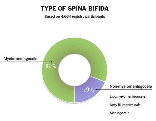 Type of Spina Bifida based on 4664 registry participants.