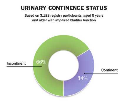Urinary Continence Status: Incontinent 66%, Continent 34%