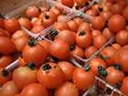 Photo of plastic bins full of tomatoes