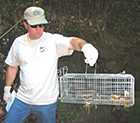 Photo of a man holding a cage with trapped rats.