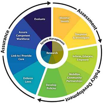 Graphic image of the 10 Essential Services Wheel.