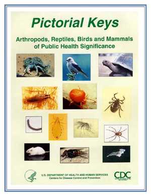 Cover photo of Pictorial Keys
