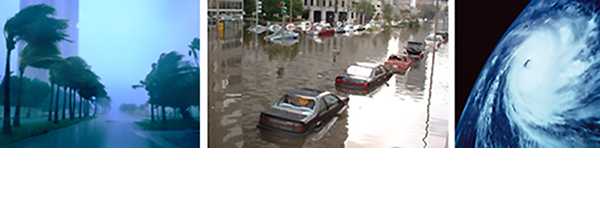 Image banner with photo of palms bending in wind, flooded cars in street and satellite image of a hurricane.