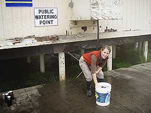 Danielle Buttke, DVM, PhD (EIS ’10) collecting water samples in Alaska