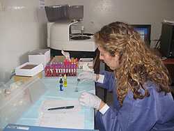 Danielle Buttke (EIS ’10) analyzing samples in Ethiopia (2011)