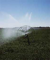 	Irrigation sprayer in a field
