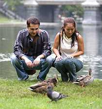 Couple feeding ducks at a pond