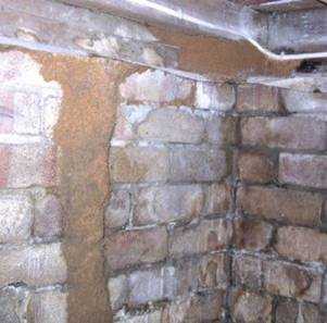Figure 4.19. Termite Mud Shelter Tube Constructed Over A Brick Foundation