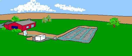Figure 10.1. Conventional On-site Septic System
