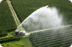 Farmland irrigation of crops