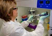 CDC scientist Christina Scheel processes spinal fluid samples for molecular testing during the multistate meningitis outbreak