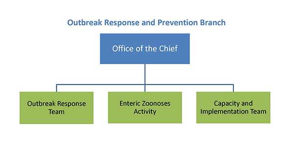 Outbreak Response Prevention Branch Organization Chart