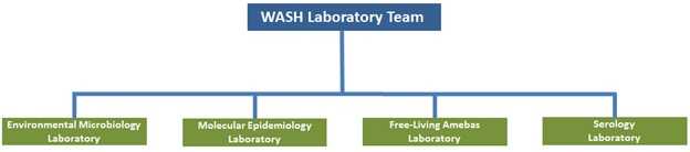 Graphic: Waterborne Disease Prevention Branch WASH Laboratory Team organizational chart. Laboratories consisting of Environmental Microbiology, Molecular Epidemiology, Free-Living Amebas, and Serology.