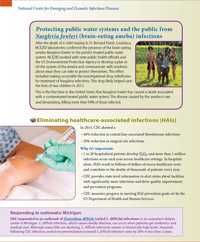 NCEZID Accomplishments 2013: Protecting people from brain-eating ameba (page 2) 