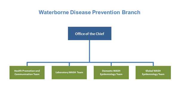 Waterborne Disease Prevention Branch Organizational Chart Organizational Chart: includes Office of the Chief and teams - Health Promotion and Communication, Laboratory WASH, Domestic WASH, and Global WASH