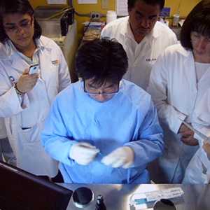Capacitación sobre la helicobacteria con expertos de laboratorios binacionales.