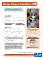 Infectious Diseases Pathology Branch (IDPB) factsheet