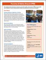 image of poxvirus and rabies branch factsheet