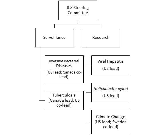 Structure of the International Circumpolar Surveillance (ICS) system