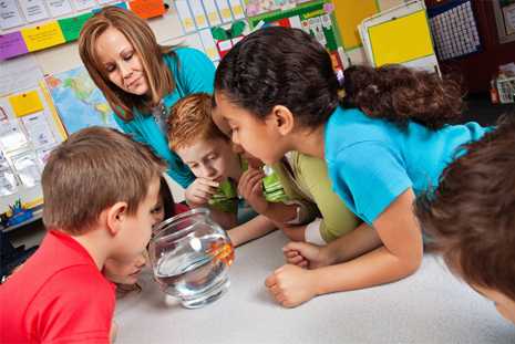 Group of school children and a teacher looking at a goldfish in a fish bowl