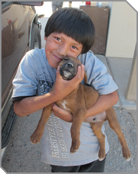 Image of young dark-haired boy holding a dog close to his face and smiling into the camera